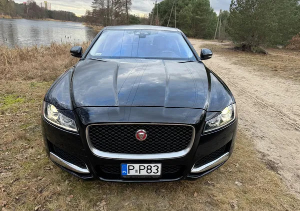 jaguar xf Jaguar XF cena 86900 przebieg: 112243, rok produkcji 2018 z Piła